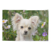 Cute crème Chihuahua Dog Puppy Portrait Foto - Kussensloop (Achterkant)