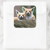 Cute Critter 2 Vierkante Sticker (Tas)