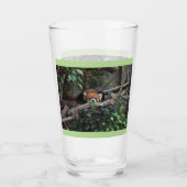Cute Crouching Red Panda Glas (Voorkant)