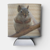 Cute Crouching Squirrel op Branch Blikjeskoeler (Voorkant)