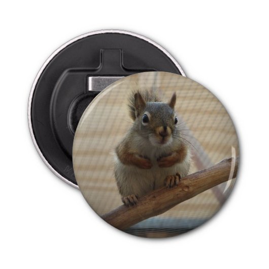 Cute Crouching Squirrel op Branch Button Flesopener (Voorkant)