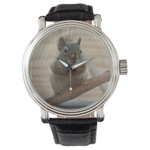 Cute Crouching Squirrel op Branch Horloge