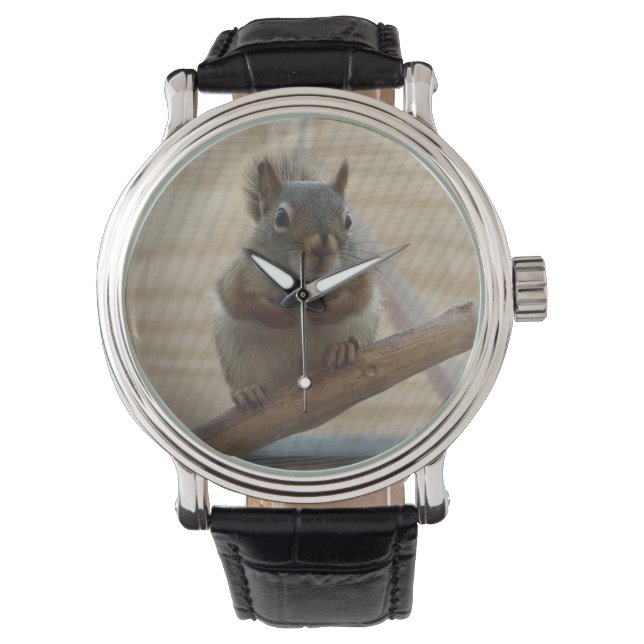 Cute Crouching Squirrel op Branch Horloge (Voorkant)