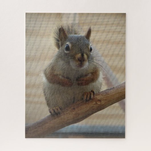 Cute Crouching Squirrel op Branch Legpuzzel (Verticaal)