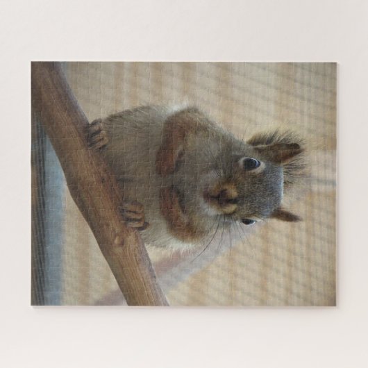 Cute Crouching Squirrel op Branch Legpuzzel (Horizontaal)
