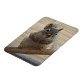 Cute Crouching Squirrel op Branch Magneet (Linkerzijde)