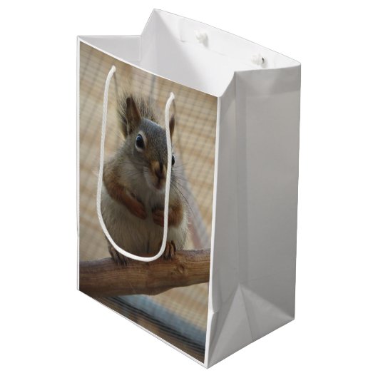 Cute Crouching Squirrel op Branch Medium Cadeauzakje (Voorkant Gekanteld)
