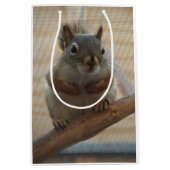 Cute Crouching Squirrel op Branch Medium Cadeauzakje (Voorkant)