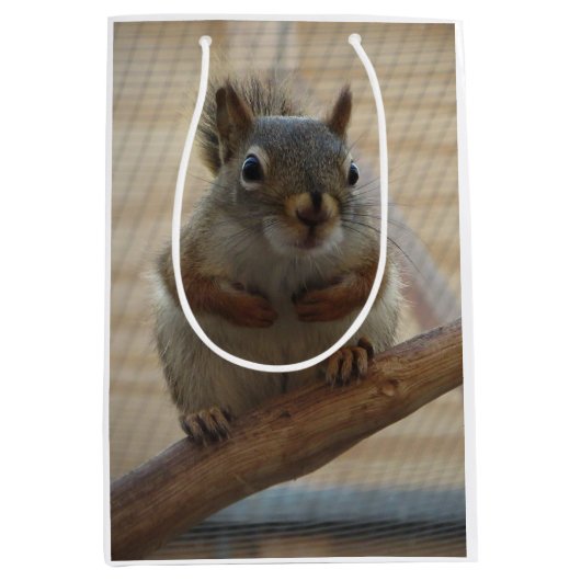 Cute Crouching Squirrel op Branch Medium Cadeauzakje (Voorkant)