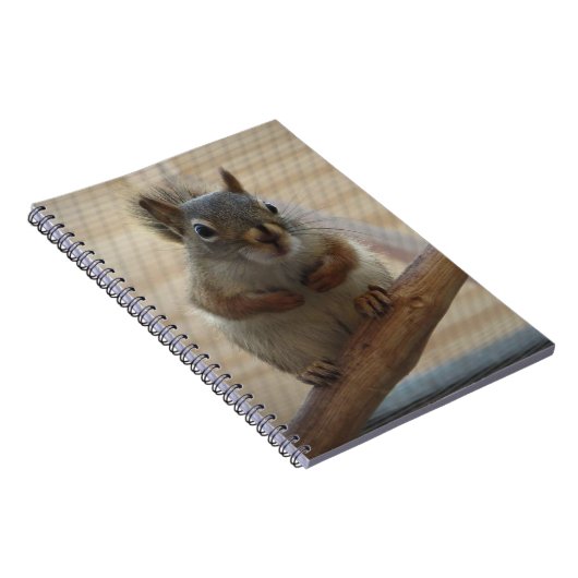 Cute Crouching Squirrel op Branch Notitieboek (Rechterzijde)