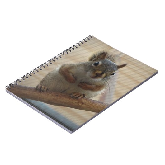 Cute Crouching Squirrel op Branch Notitieboek (Linkerzijde)