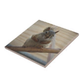 Cute Crouching Squirrel op Branch Tegeltje (Zijkant)