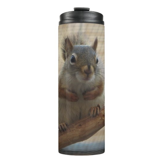 Cute Crouching Squirrel op Branch Thermosbeker (Voorkant)