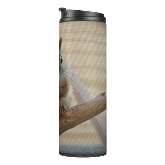 Cute Crouching Squirrel op Branch Thermosbeker (Geroteerd rechts)