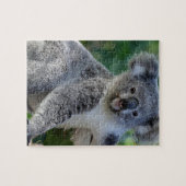 Cute cuddly Australian koala Legpuzzel (Horizontaal)