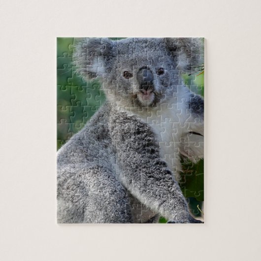 Cute cuddly Australian koala Legpuzzel (Verticaal)