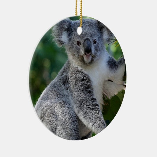 Cute cudly Australian koala Keramisch Ornament (Rechts)