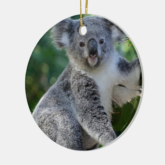 Cute cudly Australian koala Keramisch Ornament (Links)