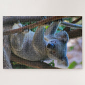 Cute cudly Australian koala Legpuzzel (Horizontaal)