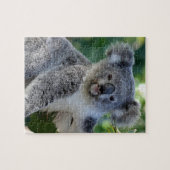 Cute cudly Australian koala Legpuzzel (Horizontaal)