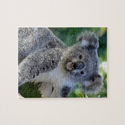 Cute cudly Australian koala Legpuzzel (Horizontaal)