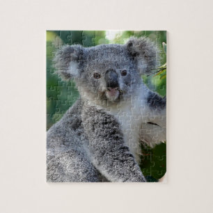 Cute cudly Australian koala Legpuzzel