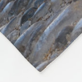 Cute Cudly Cat Kittens Friends Stony Path Foto - Fleece Deken (Hoek)