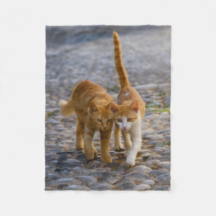 Cute Cudly Cat Kittens Friends Stony Path Foto - Fleece Deken