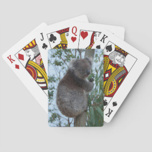 Cute Cudly Koala Tree Animal Wildlife Australië Pokerkaarten