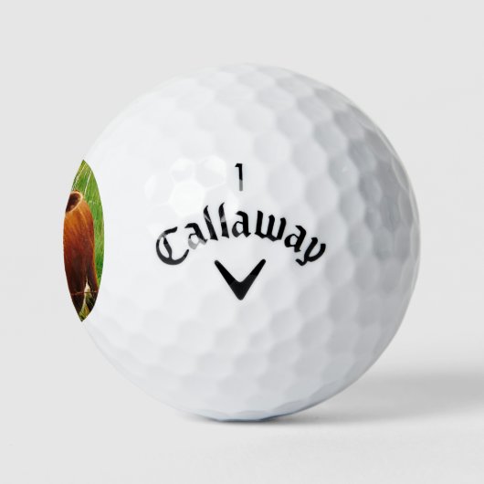 Cute Cudly Koe 4Cara Golfballen (Logo)