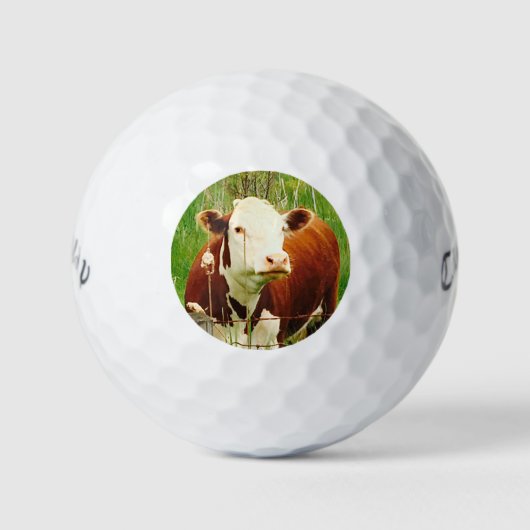 Cute Cudly Koe 4Cara Golfballen (Voorkant)