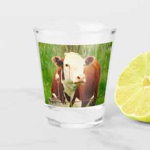 Cute Cudly Koe 4Cate Shot Glas
