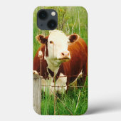 Cute Cudly Koe 4Claire Case-Mate iPhone Case (Achterkant)