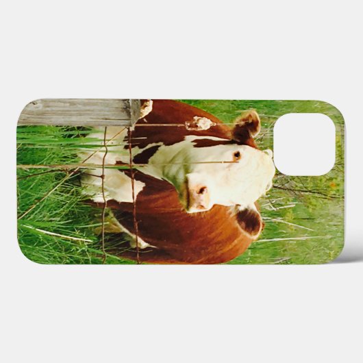 Cute Cudly Koe 4Claire Case-Mate iPhone Case (Achterkant (horizontaal))