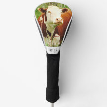 Cute Cudly Koe Brown Green