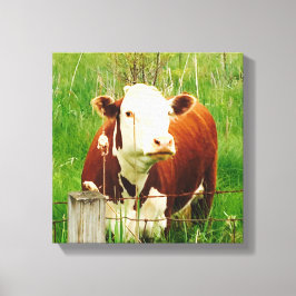 Cute curieuze Koe 4Carrie Canvas Afdruk