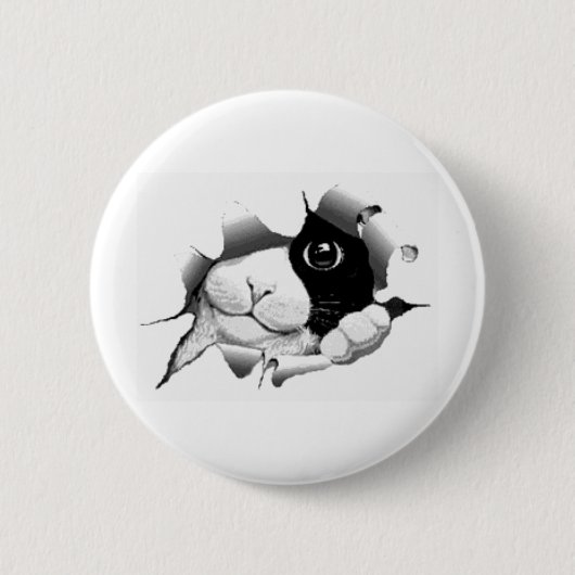Cute curiey kitten grafisch ronde button 5,7 cm (Voorkant)