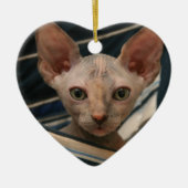 Cute curios sphynx kitten keramisch ornament (Voorkant)