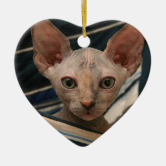 Cute curios sphynx kitten keramisch ornament