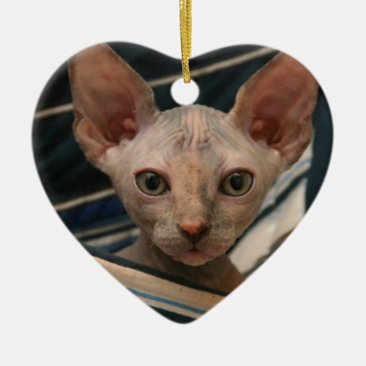Cute curios sphynx kitten keramisch ornament (Voorkant)