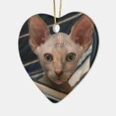 Cute curios sphynx kitten keramisch ornament (Links)