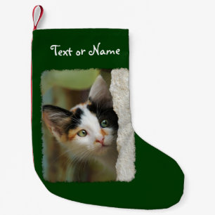 Cute Curious Cat Kitten Photo - Persoonlijke kerst Kleine Kerstsok