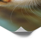 Cute Curious Cat Kitten Prying Eyes Portret foto Poster (Hoek)