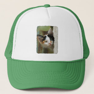 Cute Curious Cat Kitten Prying Eyes Portret foto Trucker Pet
