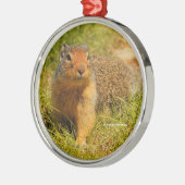 Cute Curious Columbian Ground Squirrel Metalen Ornament (Links)