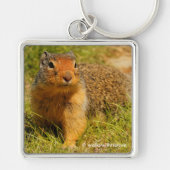 Cute Curious Columbian Ground Squirrel Sleutelhanger (Voorkant)