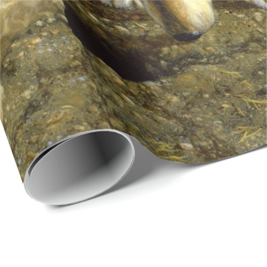 Cute Curious Gray Wolf Pups Cadeaupapier (Rol Hoek)