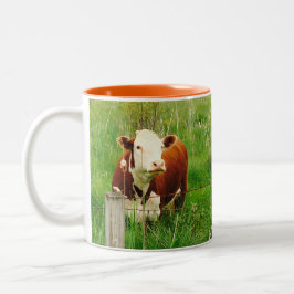 Cute Curious Koe Brown Green 4Mal Koffiemok