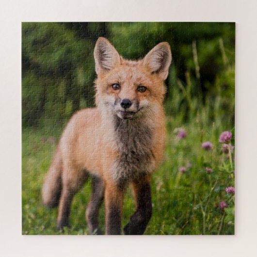 Cute Curious Red Fox Legpuzzel (Horizontaal)