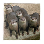 Cute Curious River Otters Wildlife Fotografie Tegeltje (Voorkant)